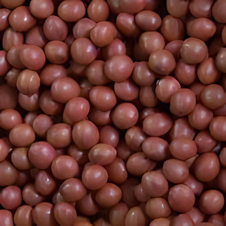 Seed Treatment