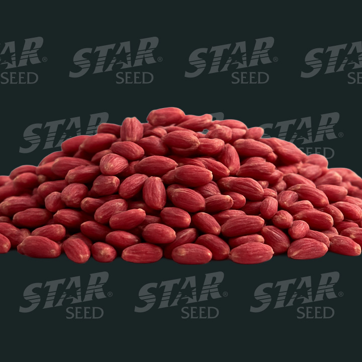 Colorants