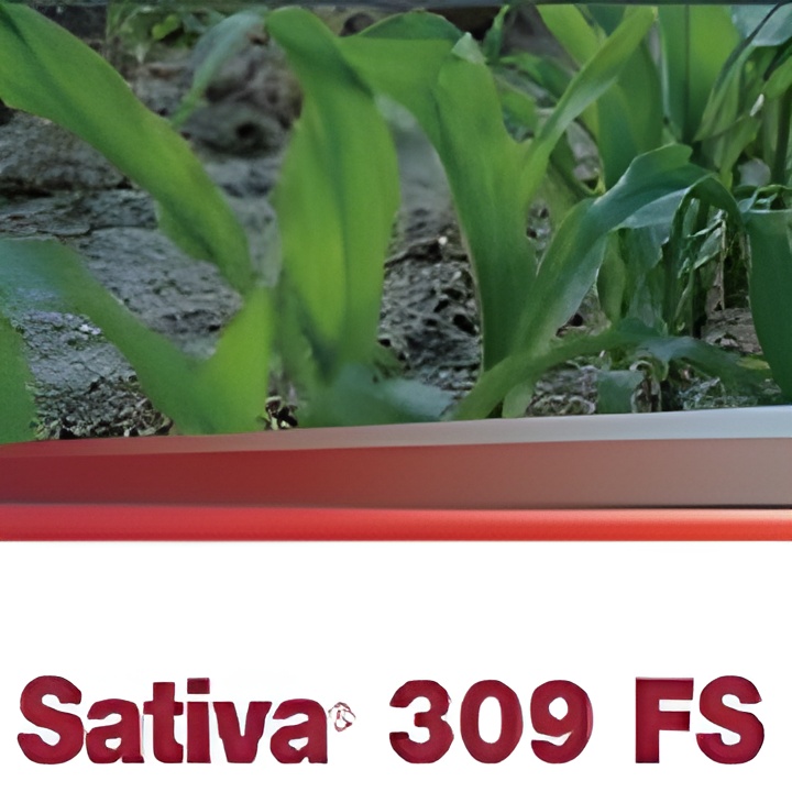 Soybean Inoculants